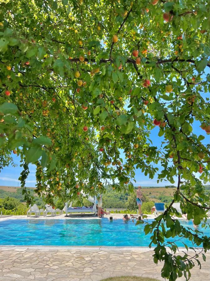 Hilltop Borbirtok & Etterem Ξενοδοχείο Neszmély Εξωτερικό φωτογραφία